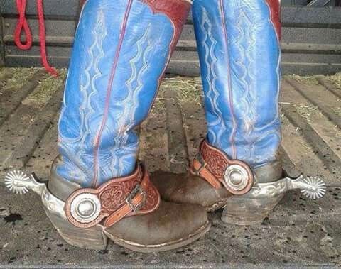 Mens Cowboy Boots