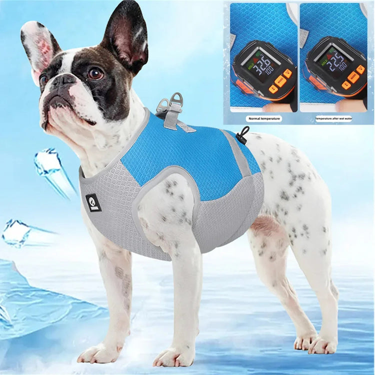 Dog Harnesses & Health