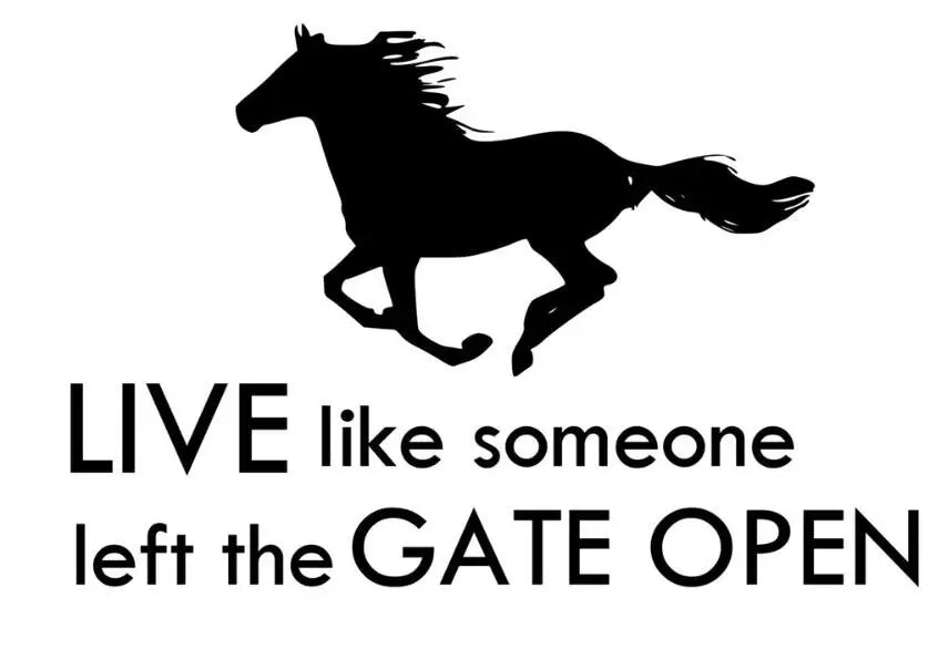 Horse Wall Stickers Art Decor "Live Like Someone Left The Gate Open"