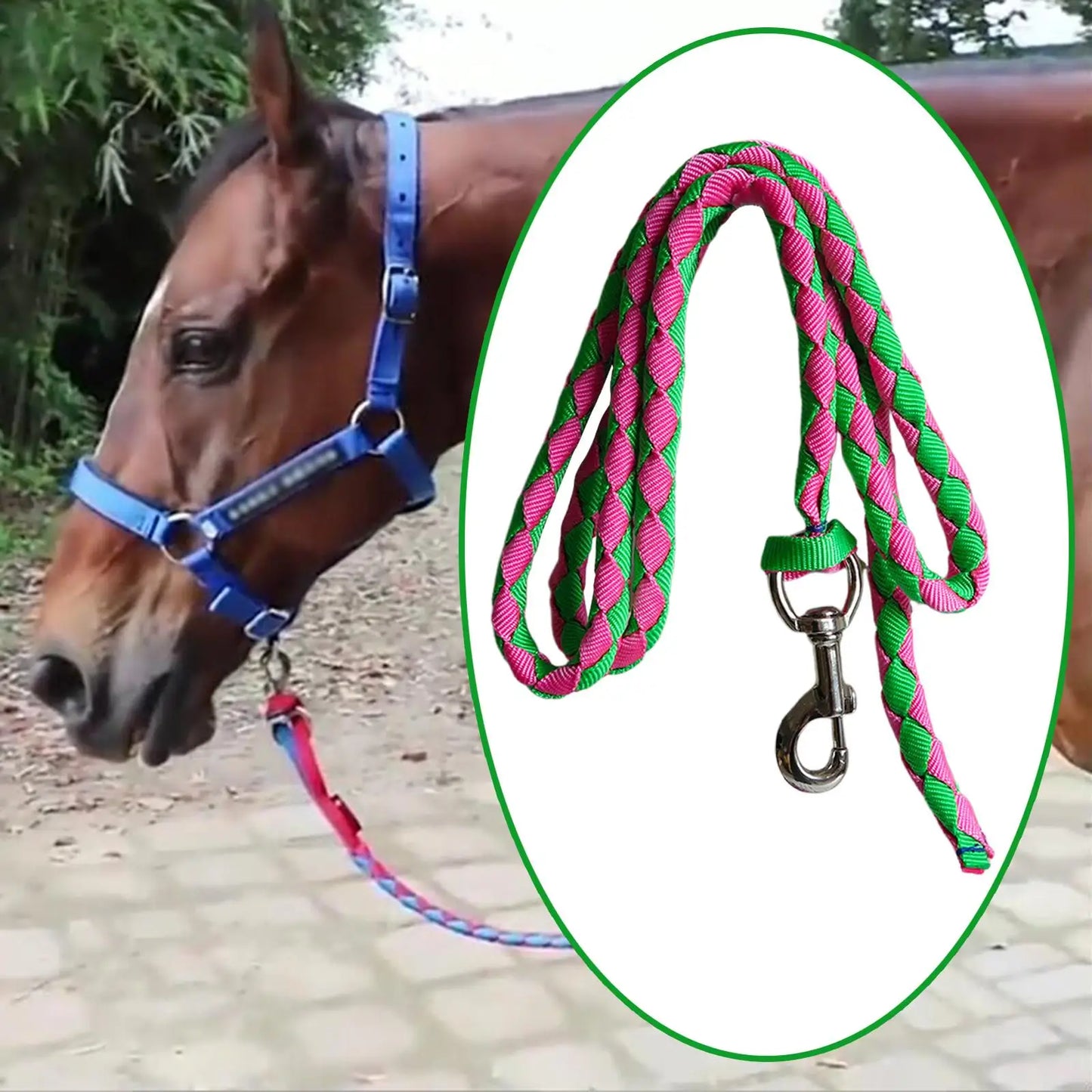 Horse Lead Rope with Snap