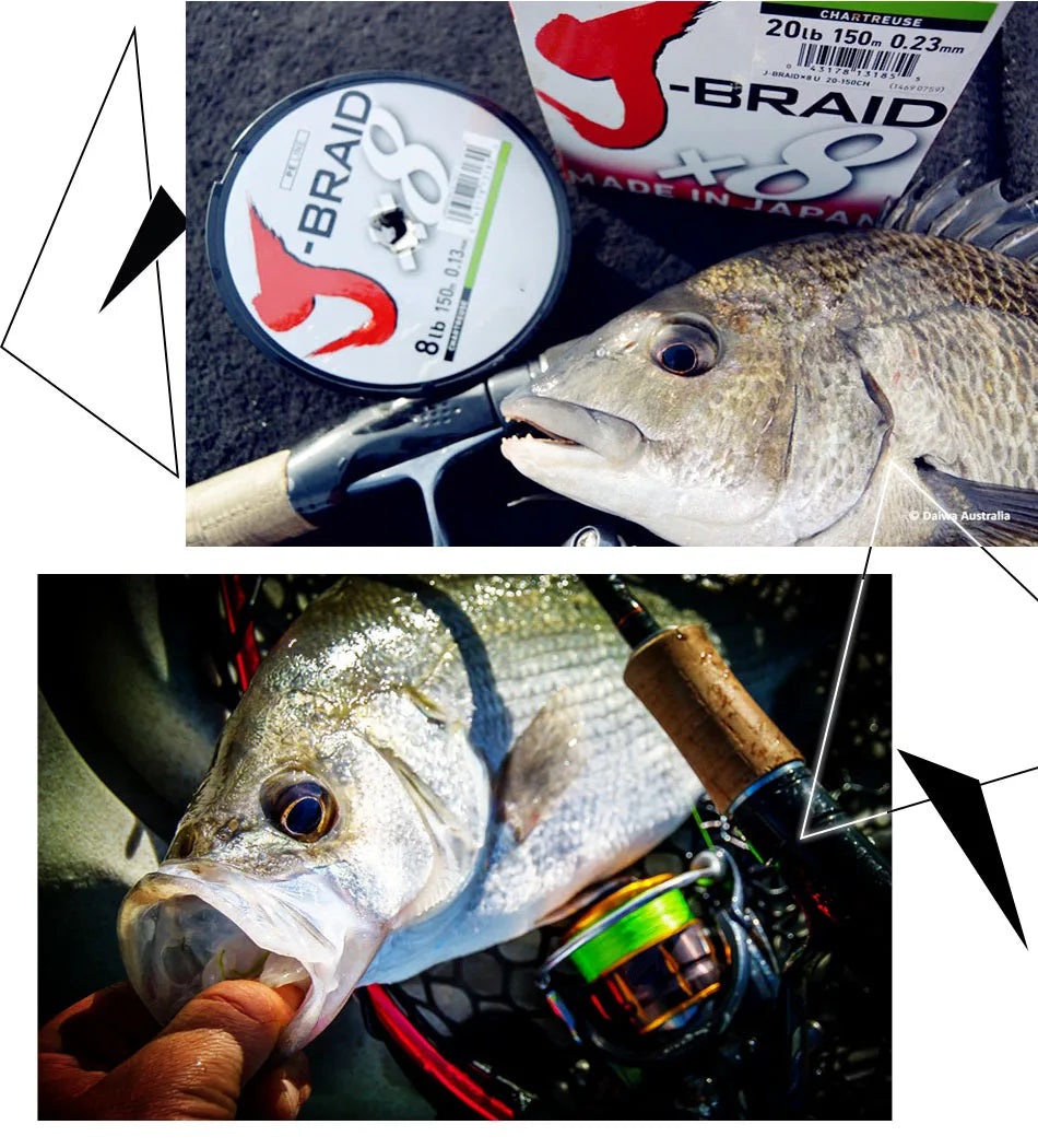 DAIWAPE Fishing Line J-Braid 300M PE 8 strands Fishing Line 14-100LB Japan 8X Braided Fishing Line