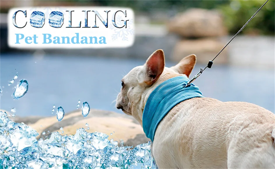 Dog Ice Cooling Bandana With Lead Attachment