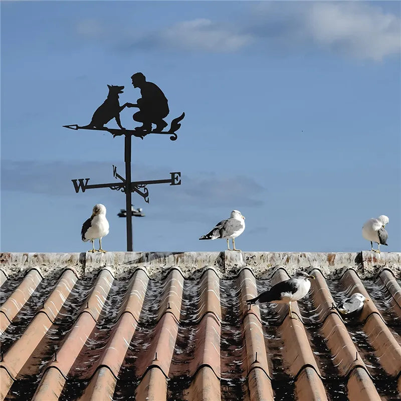 Steel Country Living  Weathervanes