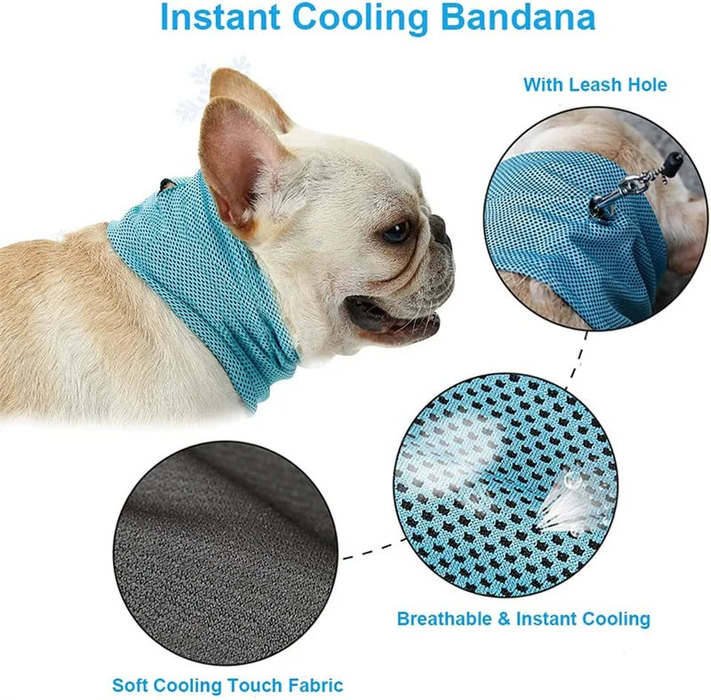 Dog Ice Cooling Bandana With Lead Attachment