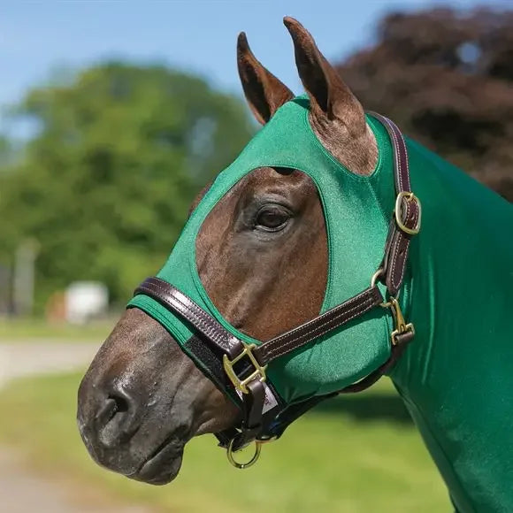 Lycra Stretchable Horse Hoods