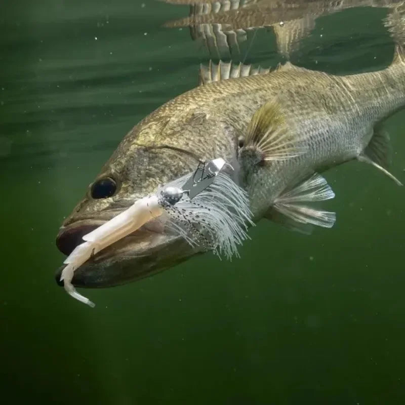 Z-Man Chattershad Lures