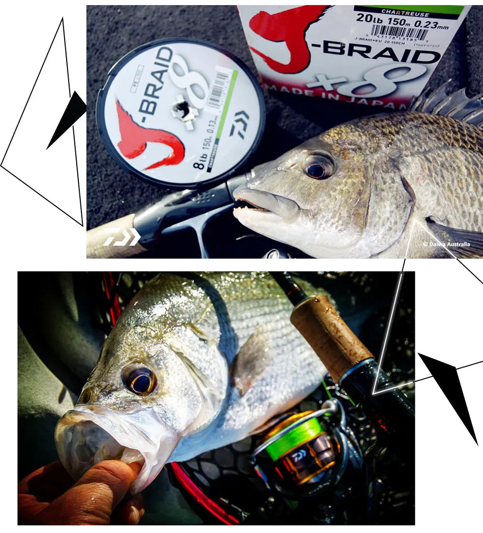 DAIWAPE 8 Braided Fishing Line - Length:500m/550yds, 30-80lb, Diameter:0.2-0.35mm Japan PE braided line J-Braid Line SEA FISHING