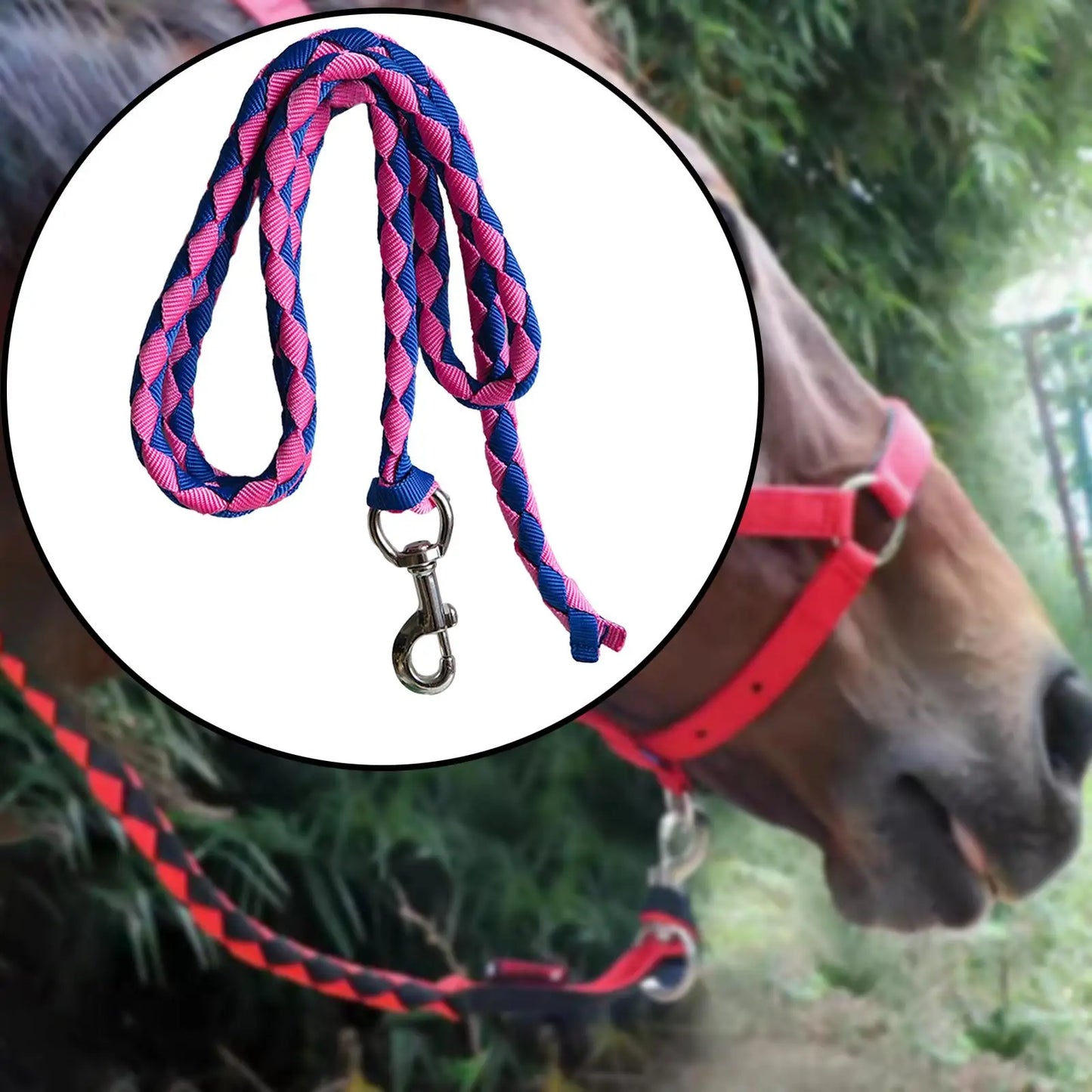 Horse Lead Rope with Snap