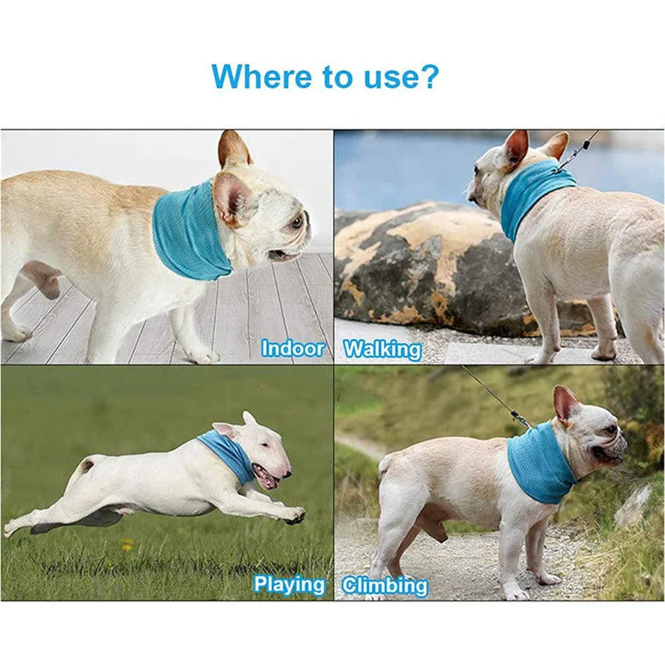 Dog Ice Cooling Bandana With Lead Attachment