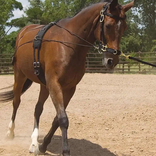 Royal Quality Lunging Roller