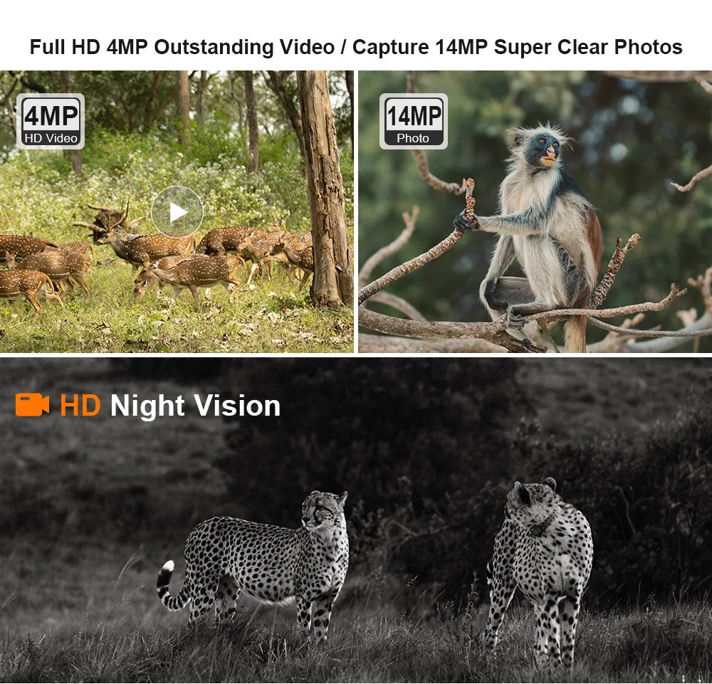 LS VISION Solar Hunting Trail Camera 14MP 4G SIM Card IP66 Waterproof 20M PIR Motion Detection Wildlife Camera IR Night Vision