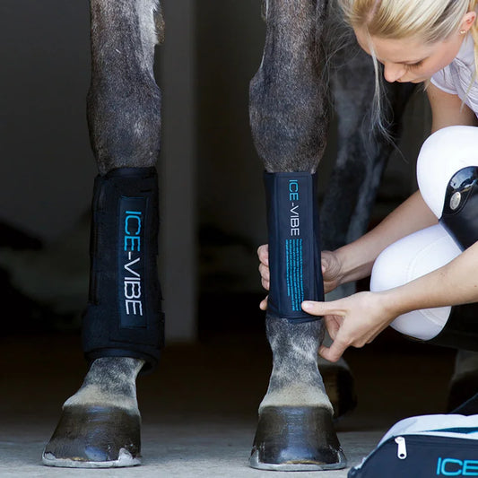 IceVibe Horse Boots, Ice compression