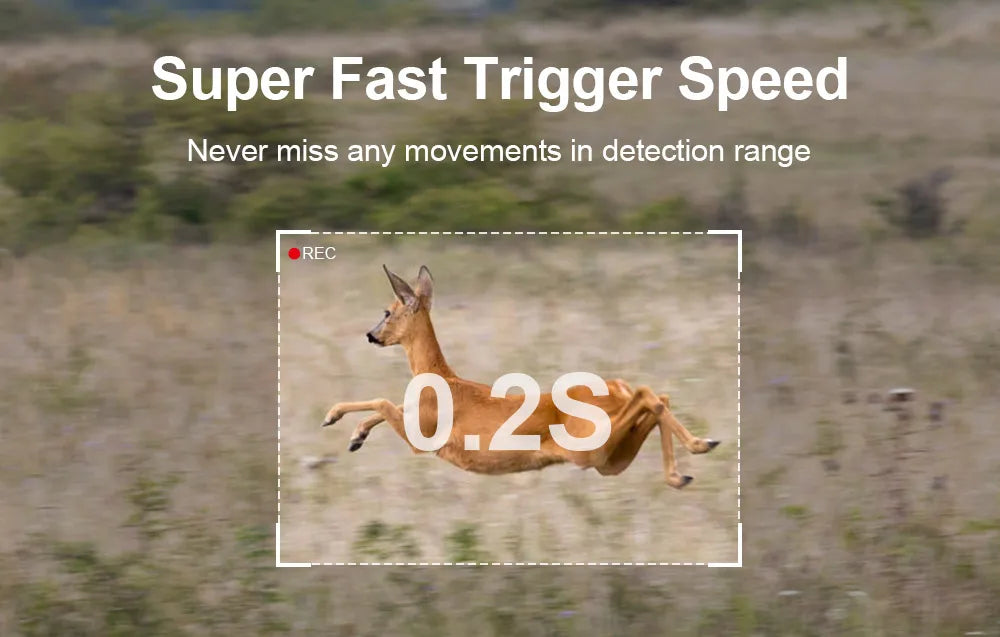 LS VISION Solar Hunting Trail Camera 14MP 4G SIM Card IP66 Waterproof 20M PIR Motion Detection Wildlife Camera IR Night Vision